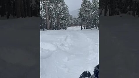 Sledding fail