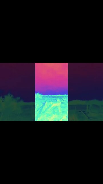 'Time Lapse Beat' #ohhighbud #lofibeats #strangedanimal #tripwithme