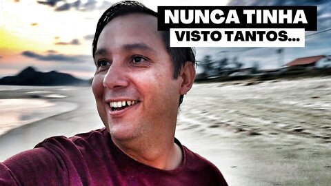 Um fim de tarde repleto de Lagomar em Itaipuaçu!