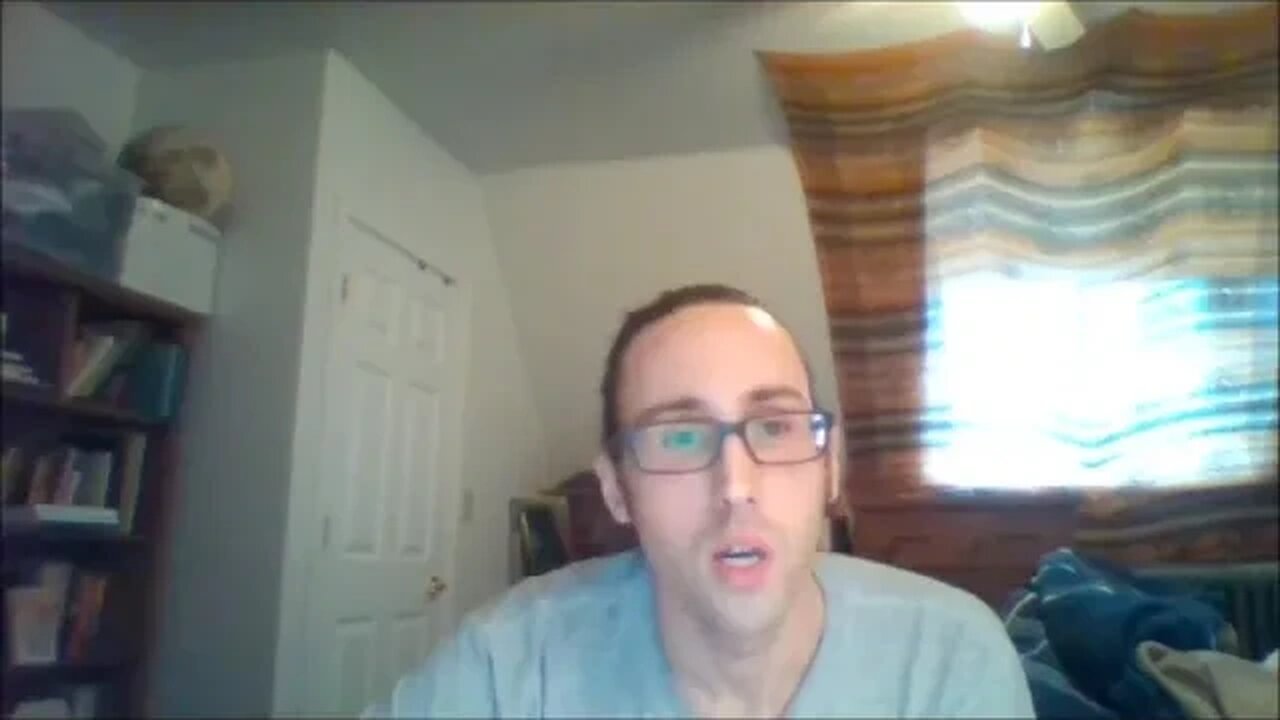 Vulgar Libertarianism Explained and Criticized