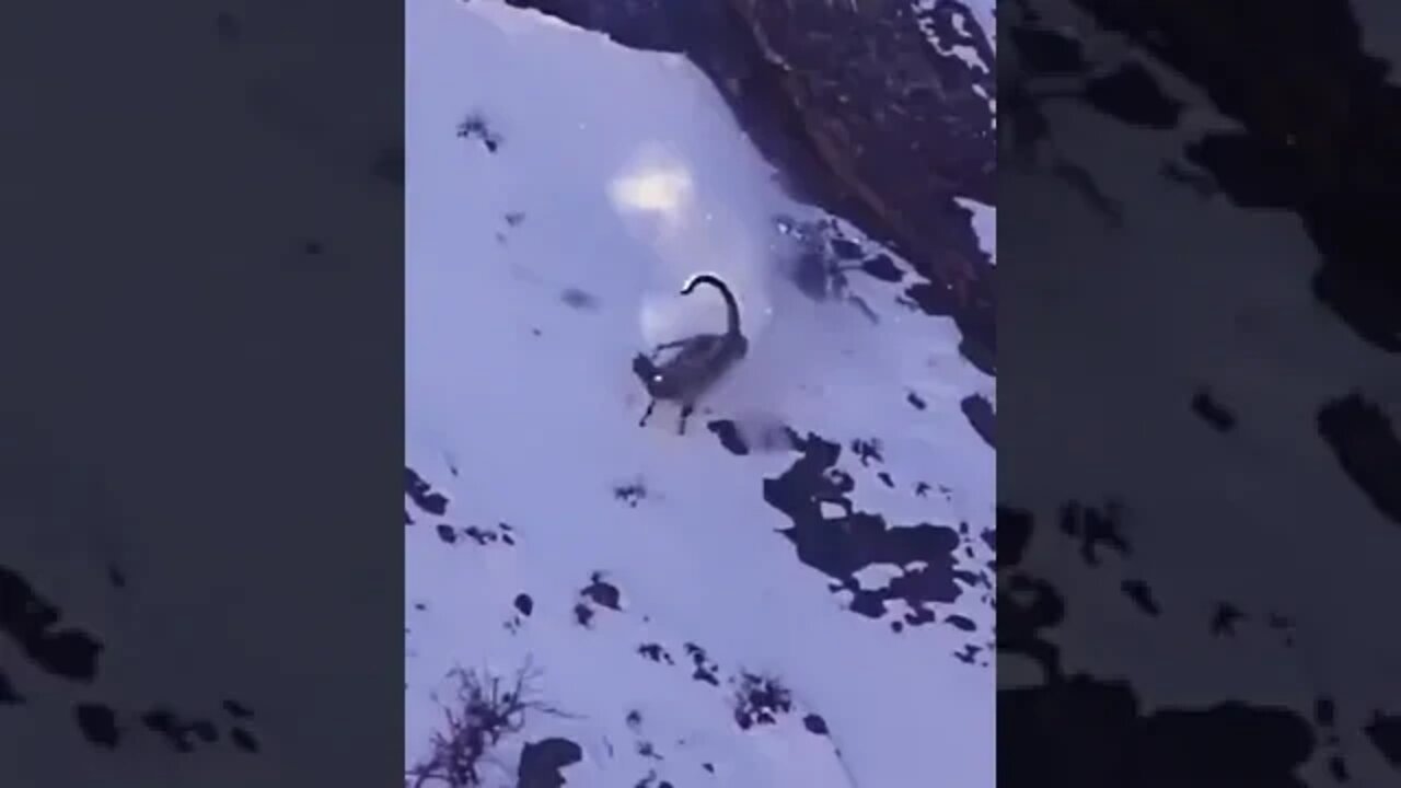 Not today, meal