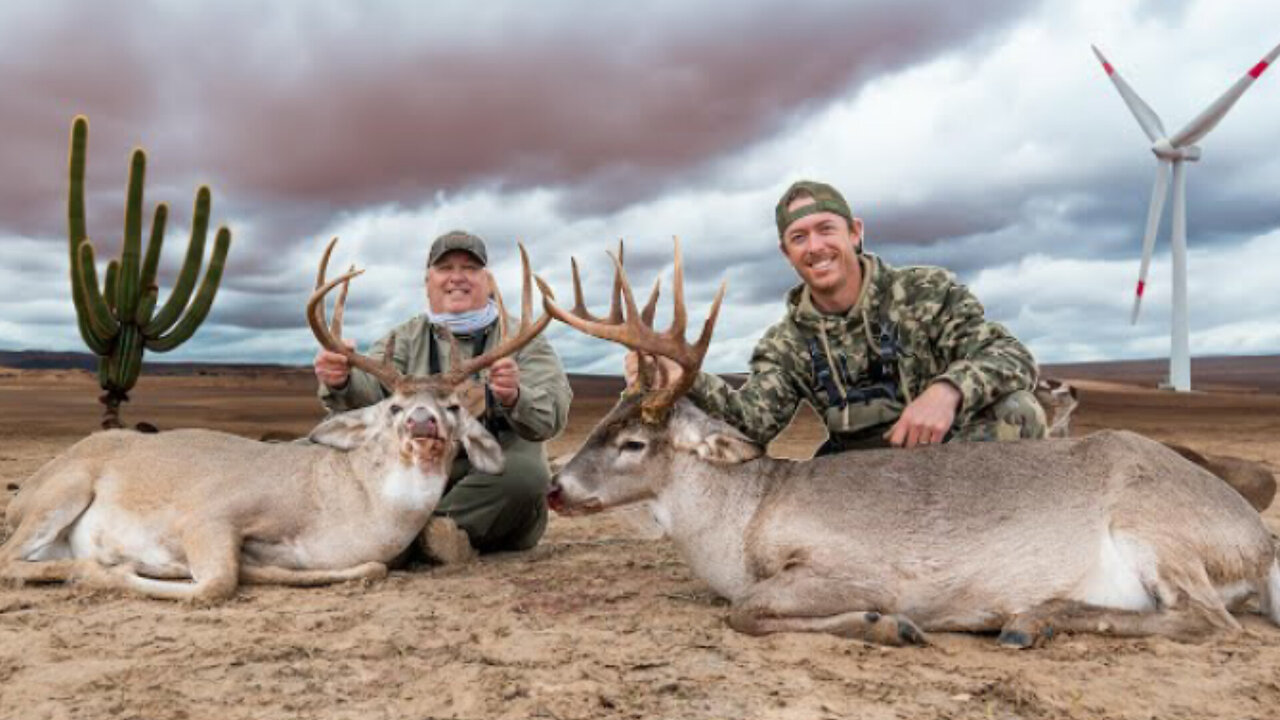 2 Bucks in 30 Minutes! Massive 12 Year Old Whitetail! | Hunting Big South Texas Bucks Pt. 2