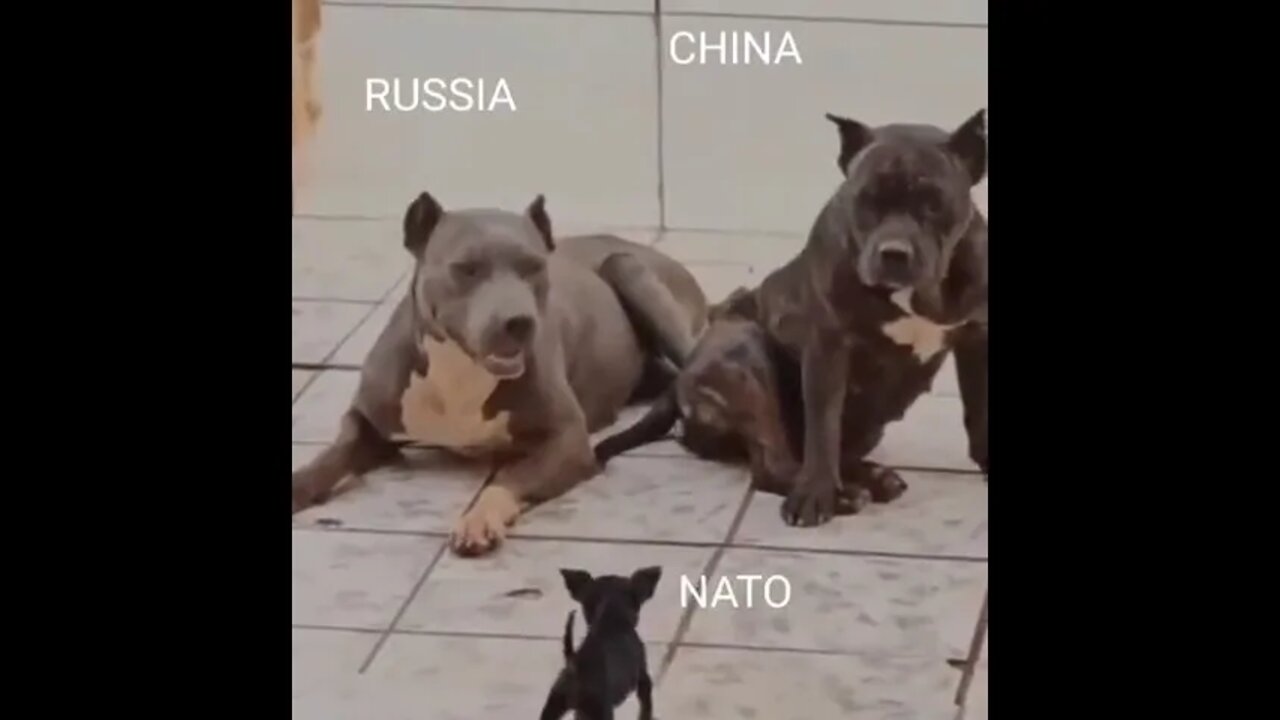 Russia China and NATO...... #shorts