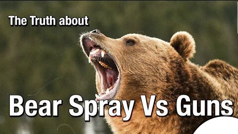 The Truth about Bear Spray Vs Guns