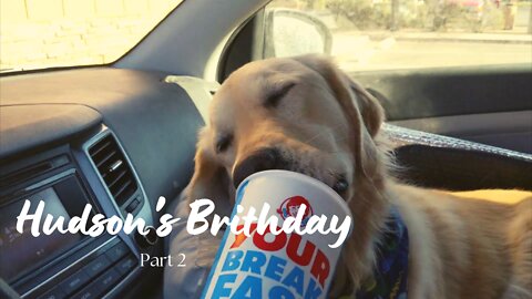 Getting Hudson the Golden Retriever a frosty for his second Birthday!!!!