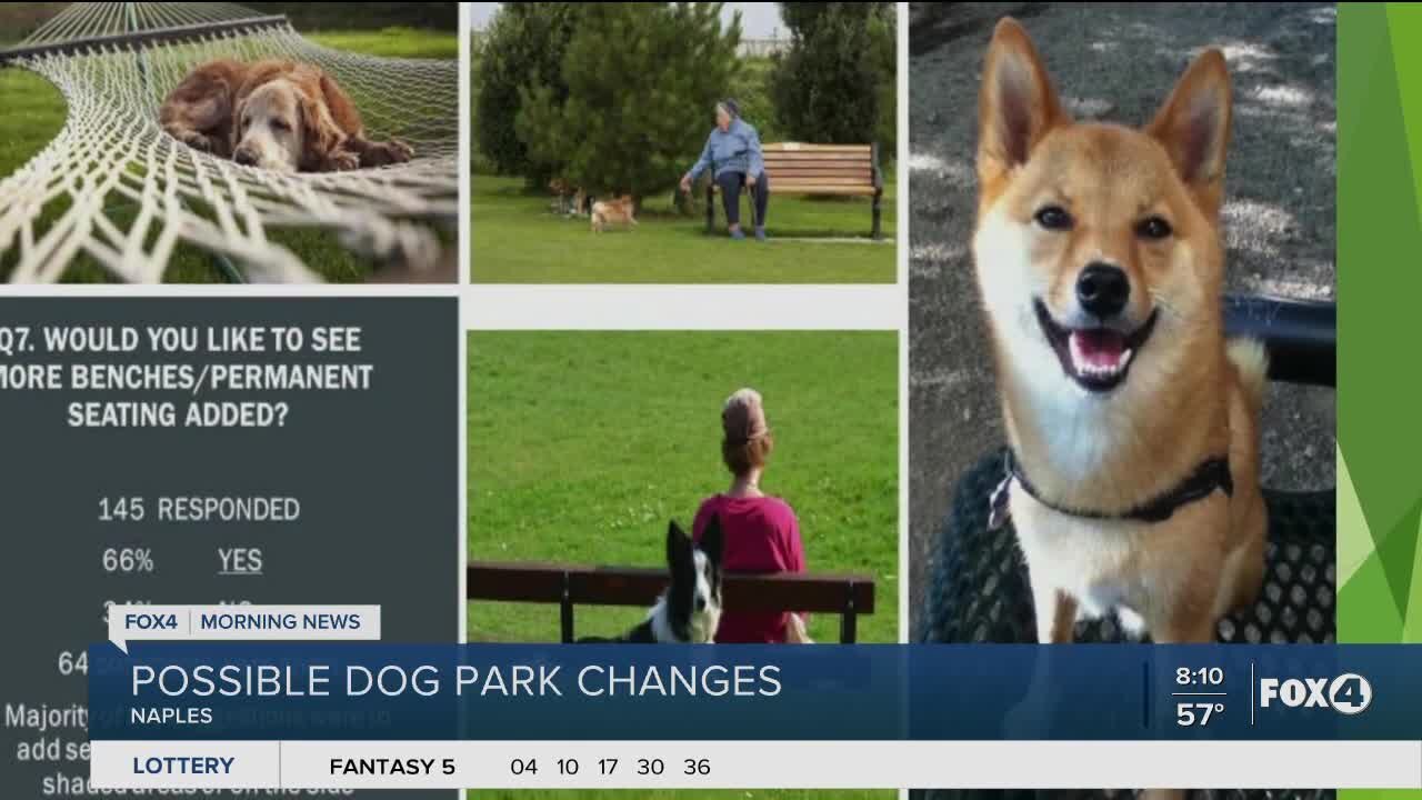 Annual fee and new chair rule among changes up for discussion at Naples Dog Park