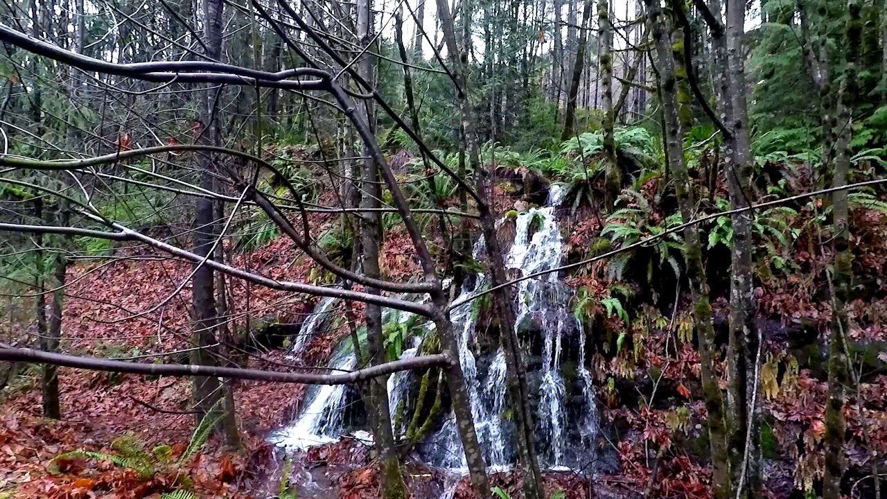 Last Day Living North of the Malahat - November 28 2021