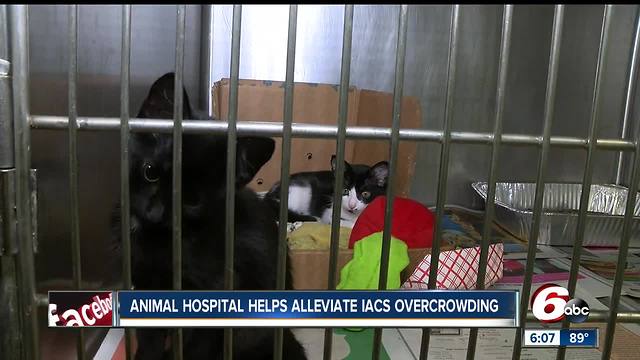 Animal hospital helps alleviate Indianapolis Animal Care overcrowding