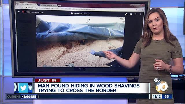 Man found in wood shavings at border