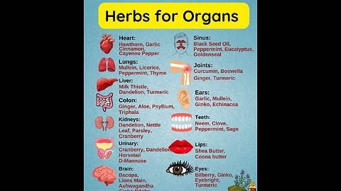 Herbs for Organs with Eden's LivingTV