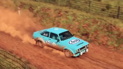 DiRT Rally 2 - Replay - Ford Escort MKII at Chandlers Creek Reverse
