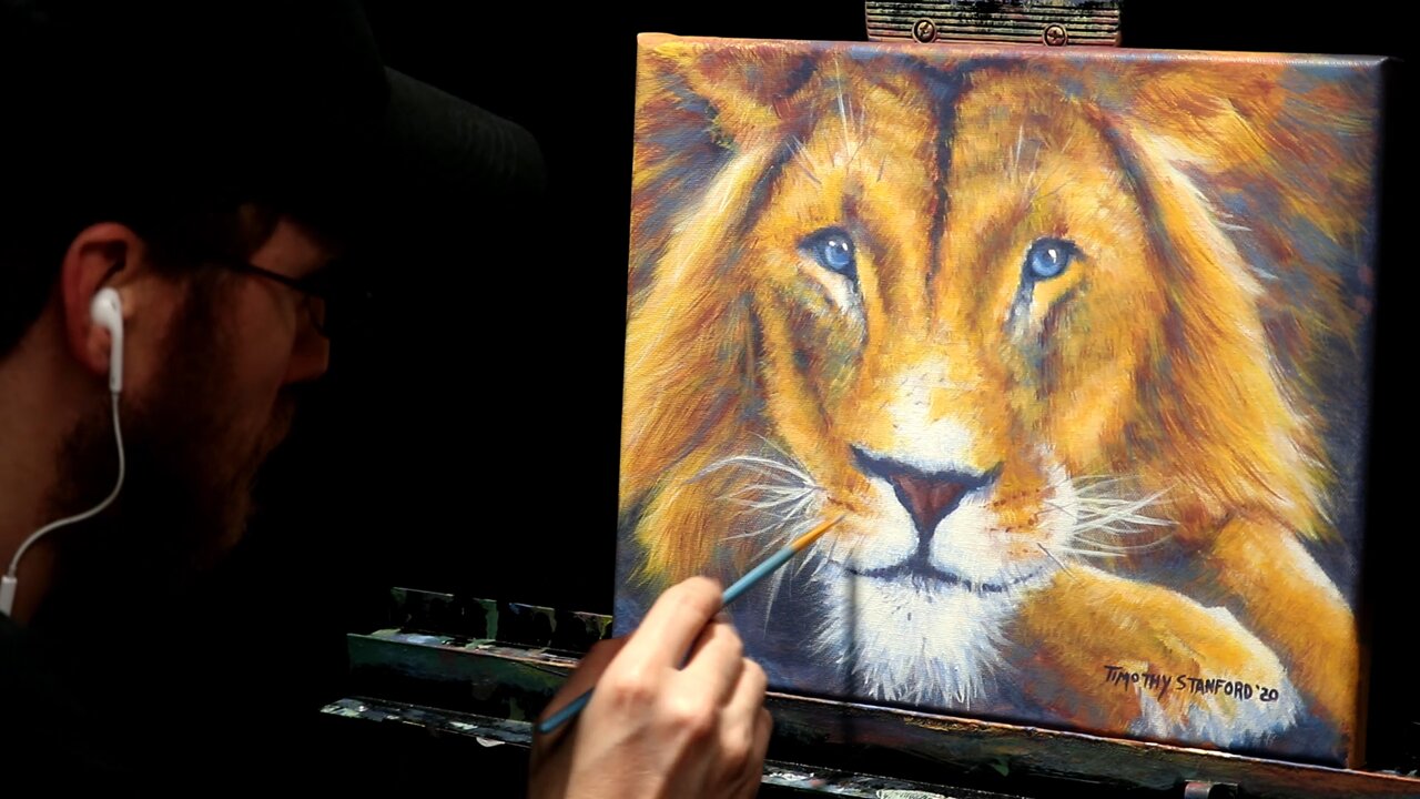 Acrylic Wildlife Painting of a Resting Lion - Time-lapse - Artist Timothy Stanford