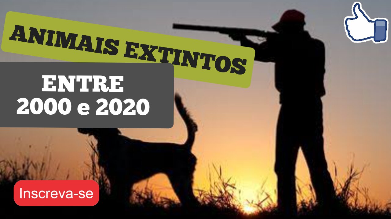 ANIMAIS EXTINTOS ENTRE 2000 e 2020