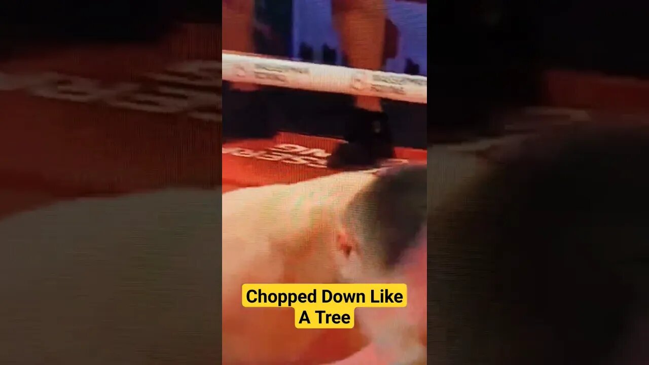 Chopped Him Down Like A Tree!! #boxingcommentary #boxing #boxingfight #proboxing