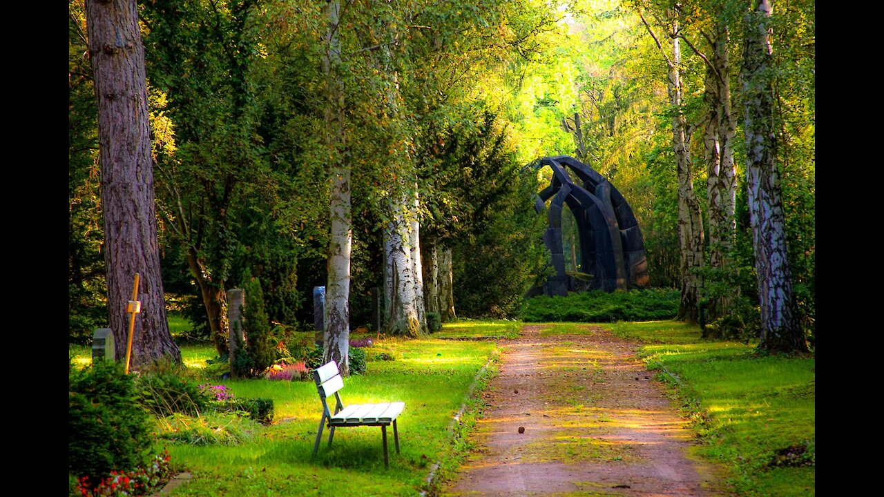 Relaxing sleep music | Deep Sleep music | Meditation and Relaxation Music | Study Music