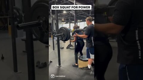 Box Squat For Power