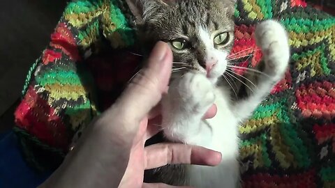 I Will Bite the Hand That Feeds Me