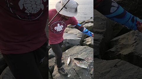 dehooking on jagged rocks is hard work!