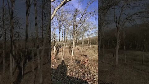 Enjoy nature, kids! 👶