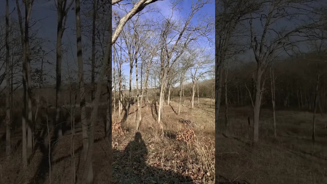 Enjoy nature, kids! 👶