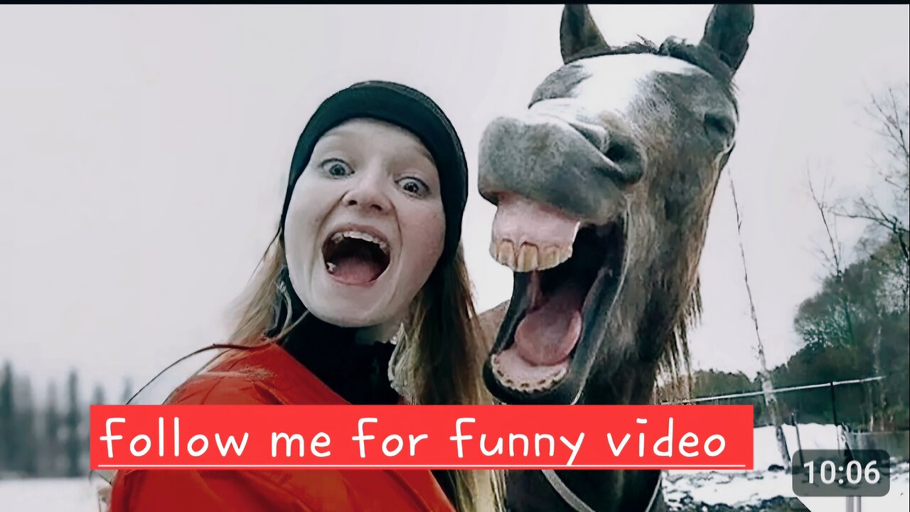 Animals funny video🤣