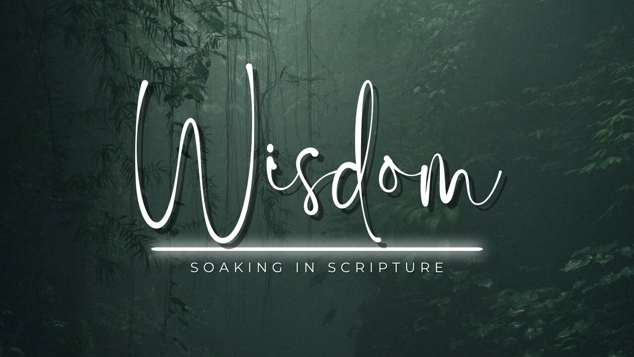 Wisdom: Soaking in Scripture #christianliving