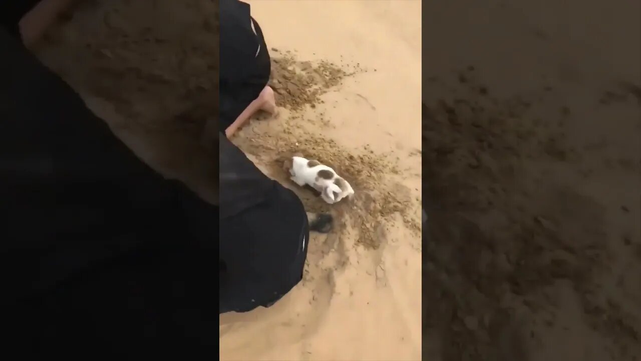 I’m helping.. 😊