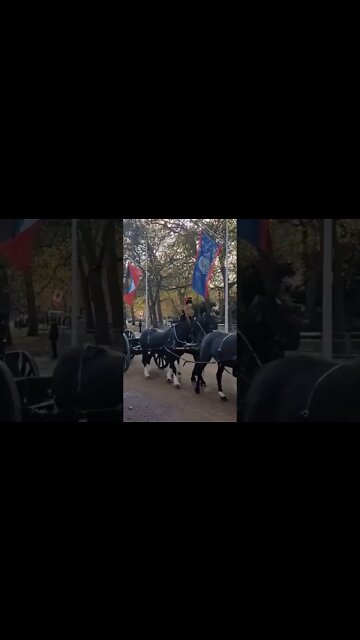 The kings troops south African state visit #horseguardsparade