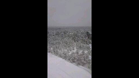 When it used to snow in the Pines!!!