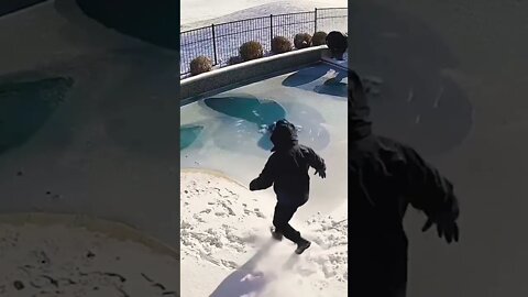 Texas man rescues his pet dog by jumping into freezing swimming pool #shorts
