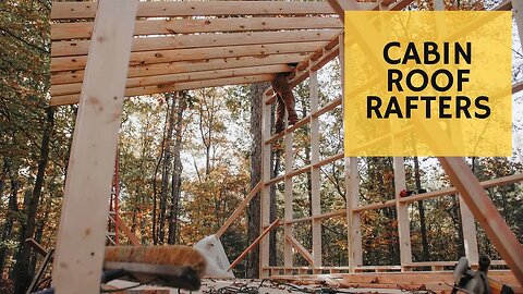 Roof Beams - Cabin Build Ep.7