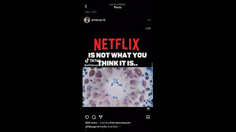 Netflix is not what you think