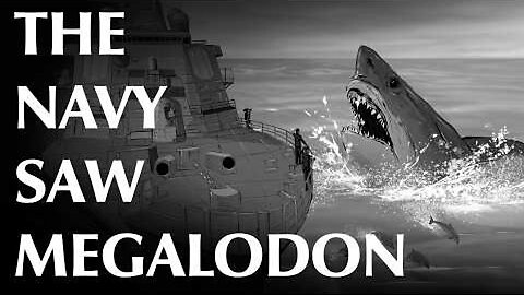 USN Petty Officer and Others Report Megalodon Sighting