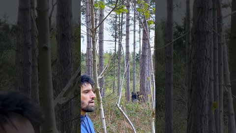 73LBS Saluki Tartar Bow, Arrow Flies In the Ear #archerylife #archery #bowhunting #fieldarchery #try