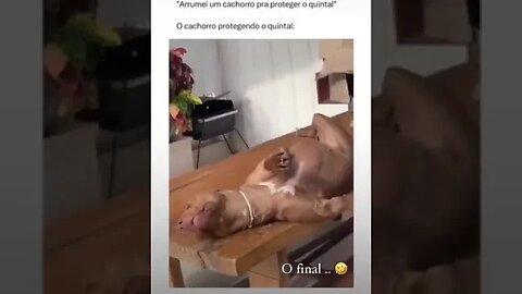 6 de outubro de 2023