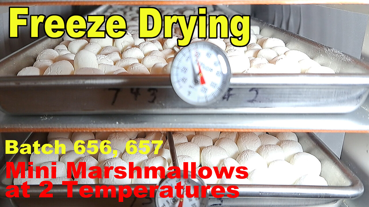 Freeze Drying Batches 656 657 Mini Marshmallow temp test