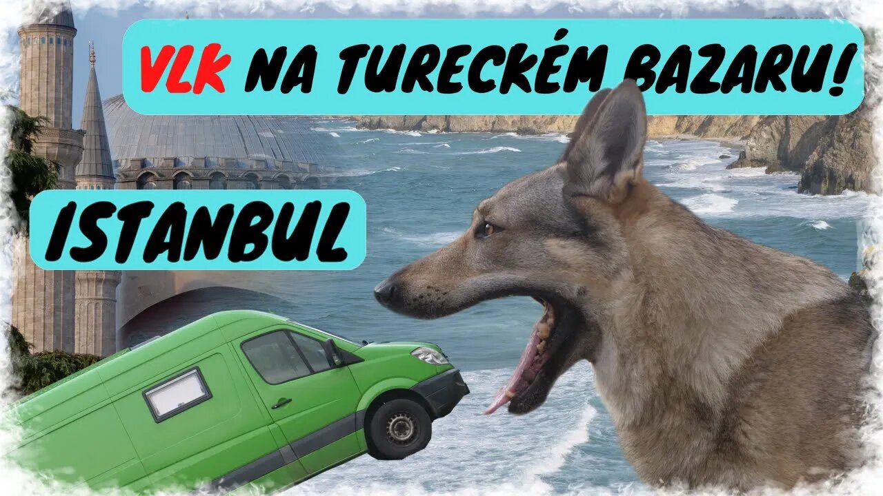 Cesta po Turecku a návštěva Istanbulu s vlkem