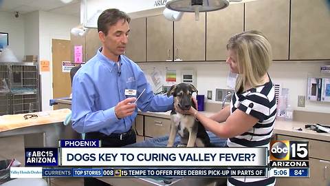 Phoenix researchers asking for volunteers in Valley Fever study