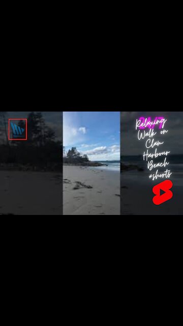 Relaxing Walk on Clam Harbour Beach #shorts