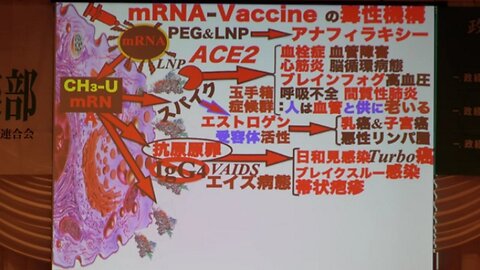 【全編公開】井上正康 大阪市立大学名誉教授 ２０２３年０８月