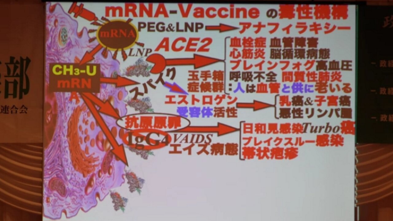 【全編公開】井上正康 大阪市立大学名誉教授 ２０２３年０８月