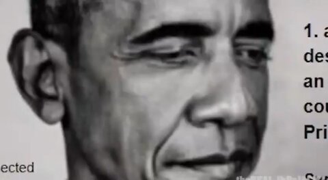 Renegade, Obama’s code name.