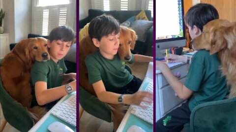 Father trains dog to supervise his son as he does home work in cannada ||#Dogs and Puppies