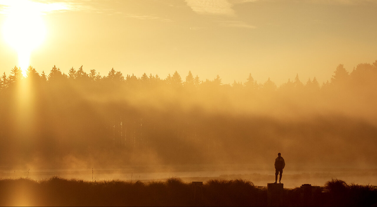 Gleams Of That Golden Morning - Forbes Family