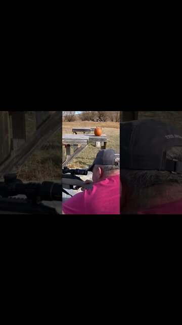 How to “harvest” 🎃 in Golden Valley! #shorts