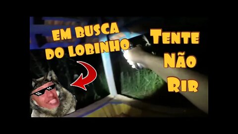 TENTE NÃO RIR - RENATO FOI NA LENDA DO "LOBINHO" 😂