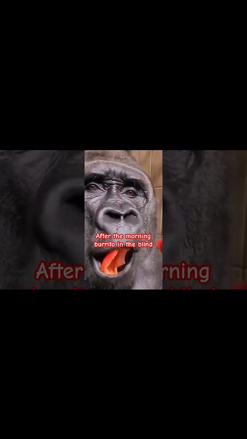 "Eating Like a Boss: No Care, Only Hunger" #shorts #shortvideo #shortsvideo