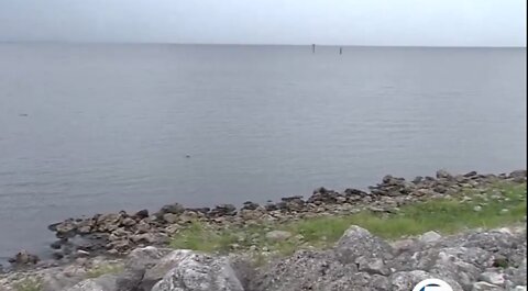 Concern over algae returning to Lake Okeechobee