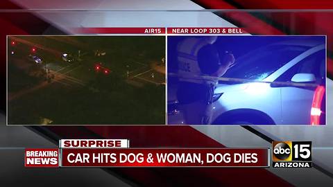 Woman struck by car after chasing dog into street