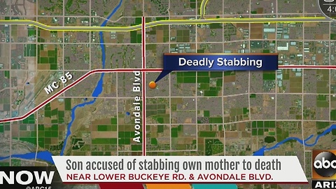 Son accused of stabbing mother to death in Avondale